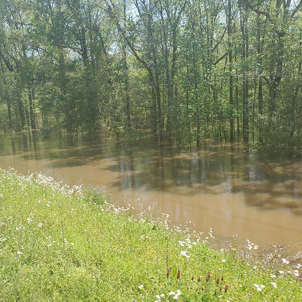 COLA | Day 35 - Flooding | Epic Cross Country Bike Tour
