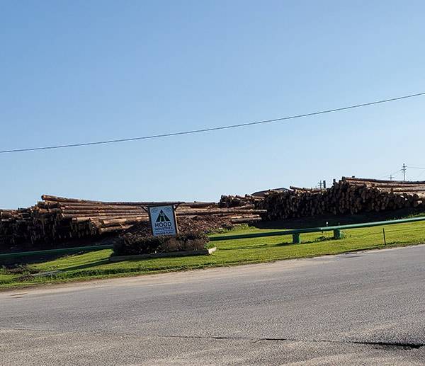 COLA | Day 35 - Telephone Poles | Epic Cross Country Bike Tour