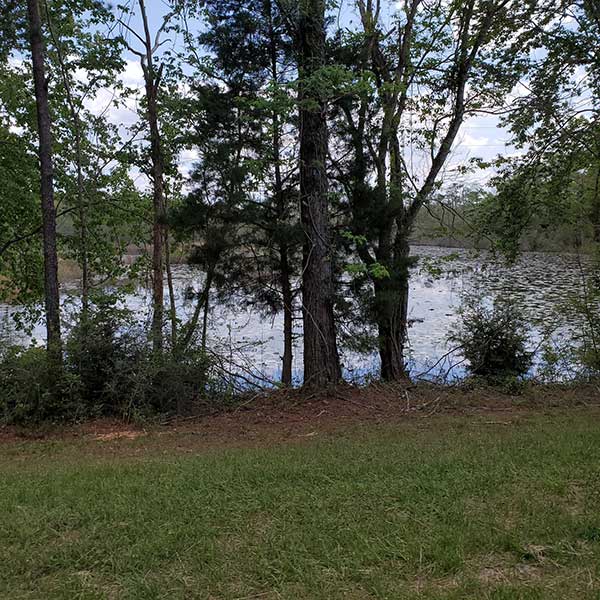 COLA | Day 39 - Ft Walton Beach to Chipley FL | Image 2