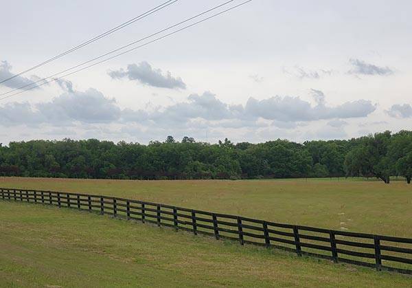 COLA | Day 41 - Midway to Madison FL | Image 2