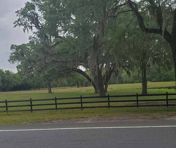 COLA | Day 41 - Midway to Madison FL | Image 4