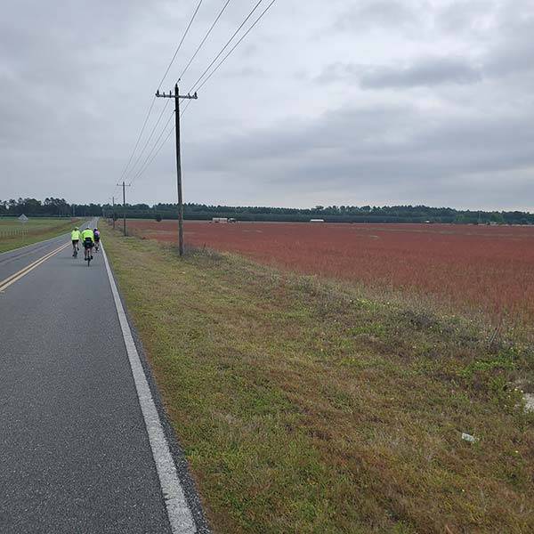 COLA | Day 42 - Madison to High Springs FL | Image 3