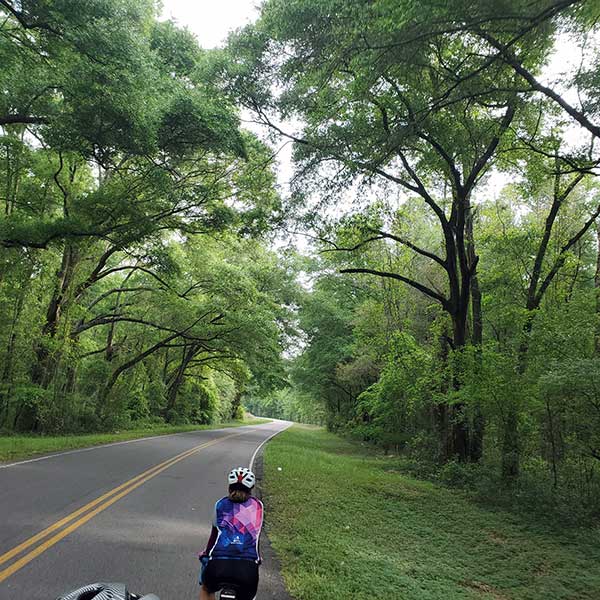 COLA | Day 42 - Madison to High Springs FL | Image 5