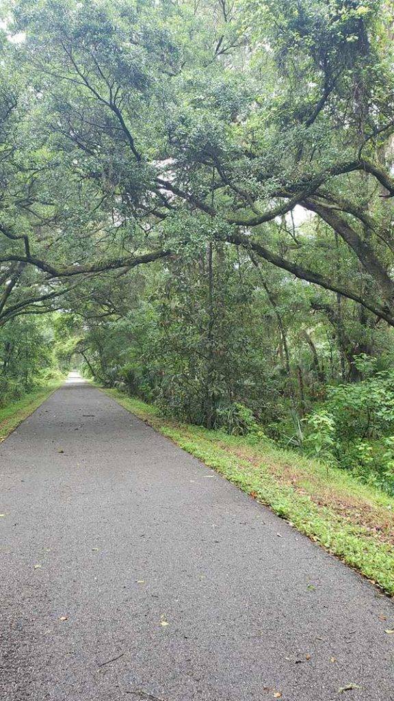 COLA | Day 43 - High Springs to E Palatka FL | Image 7