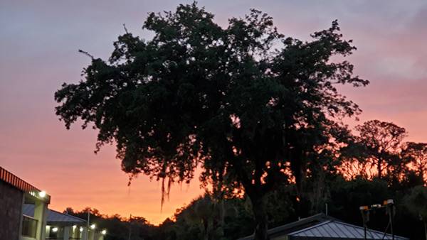 COLA | Day 43 - High Springs to E Palatka FL | Image 12