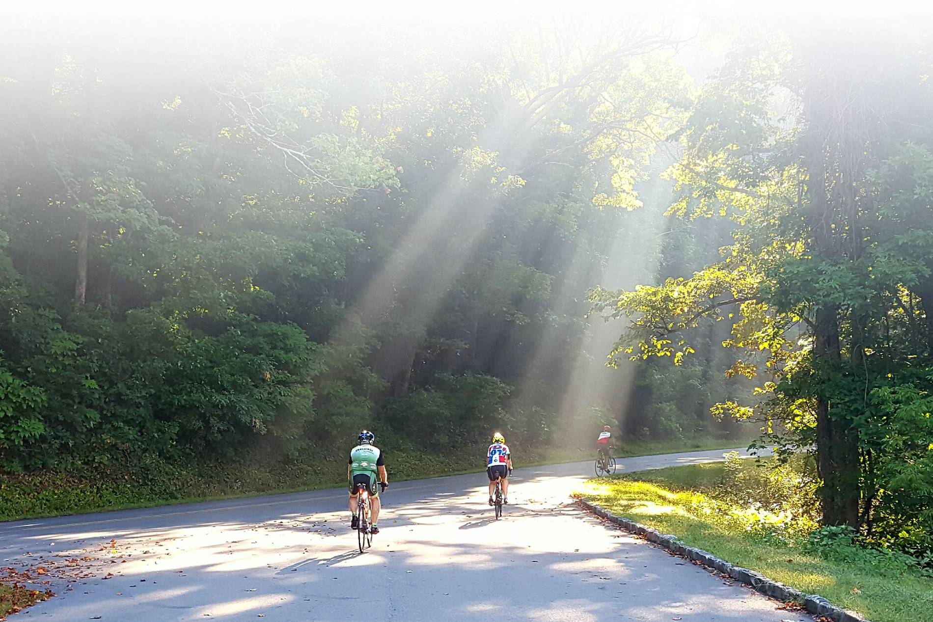 Asheville Custom Bike Tour