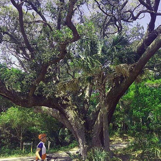 Charleston Custom Bike Tour