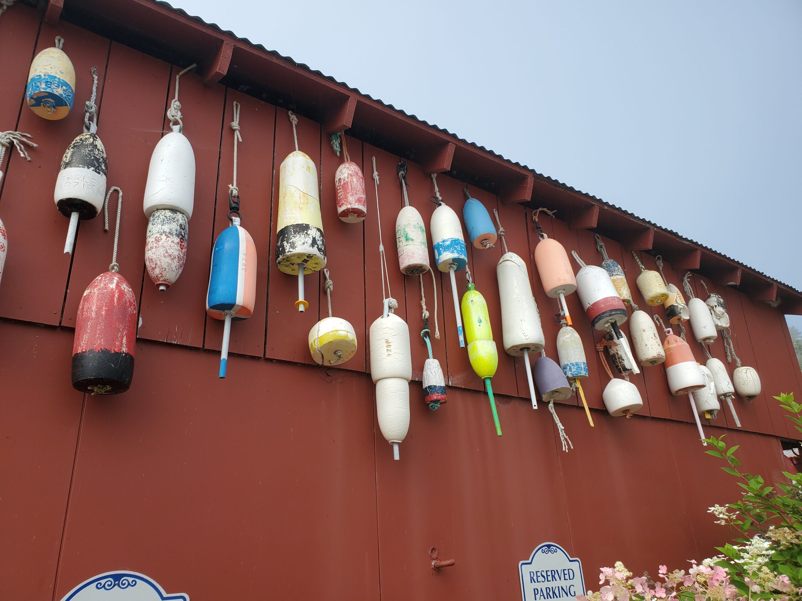 Coastal Maine- “ The Bold Coast” Bike  Tour