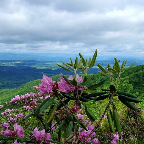 EPIC Appalachians Bike Tour