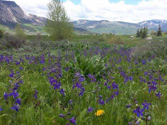 EPIC Colorado Bike Tour