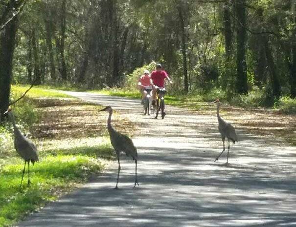 Florida Four Day Bike Tour