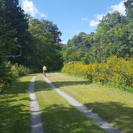 GAP and C&O Custom Bike Tour
