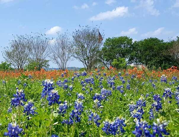 Texas Hill Country Custom Bike Tour